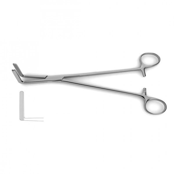 Wertheim-Cullen Pedicle Clamp